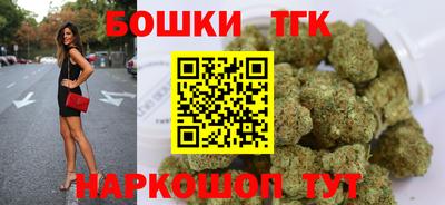 индика Будённовск