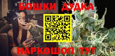 индика Будённовск