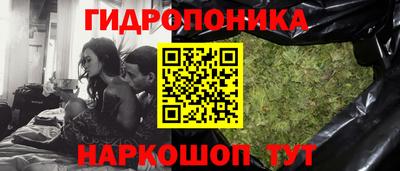 шишки Бузулук