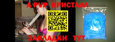 индика Будённовск