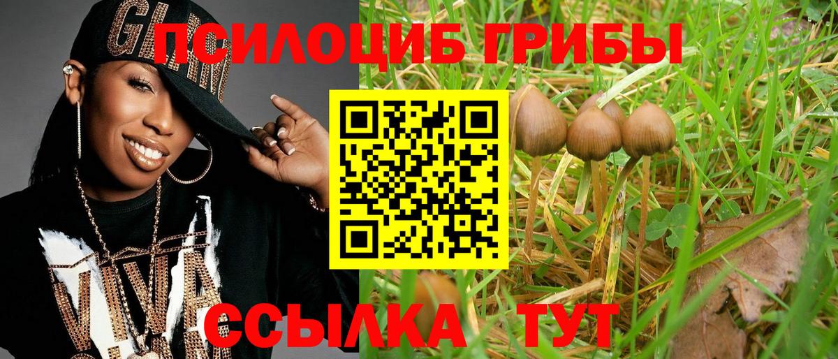 Одинцово  наркотики  Вход с VPN  Галлюциногенные грибы Psilocybe 